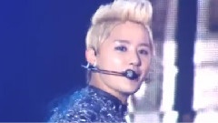 为什么不能爱我