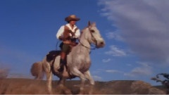 影视原声 - Zorro Is Back