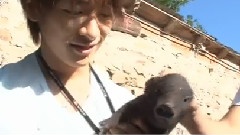 J'J 高木雄也&知念侑李 仅此二人的纵越法国慢车之旅 07