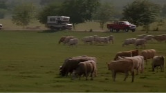 影视原声 - 电影<龙卷风>配乐D