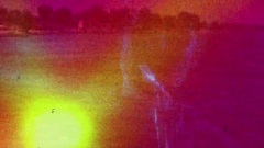 Cheatahs - Cut The Grass