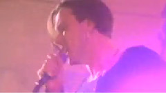 Suede - Animal Nitrate