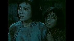 影视原声 - 五月的鲜花