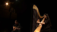 UNIQUE GUITAR AND HARP MUSIC