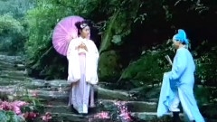 陈思思 - 梦入桃花园