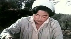 鲜花盛开的果园