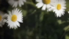 Stamatis Spanoudakis - Here We Go Again