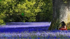 Secret Garden - Poeme