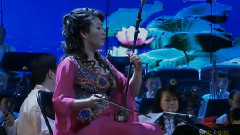 宋飞 - 二泉映月 江山如此多娇 中央民族乐团民族音乐会 现场版