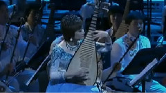 民乐群星 - 天鹅 现场版