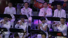 民乐群星 - 花好月圆 现场版