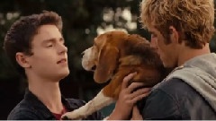 Letters From The Sky