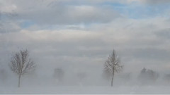 Stamatis Spanoudakis - Her Eyes Filled With Tears