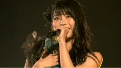 ヒグラシノコイ