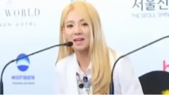 越南韩流演唱会记者会 采访