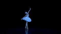 芭蕾舞 天鹅之死(Ulyana Lopatkina)