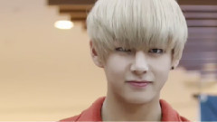 可爱的金泰亨(V)