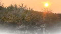 Richard Clayderman,音乐短片 - Spring of Love