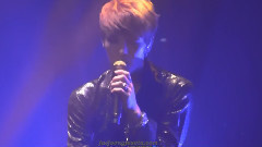 阳光灿烂的日子