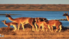 When A Dream Comes True (Touchstone Remix)