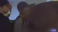 光华门签售会下班 金泰亨笑着和粉丝们打招呼