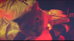 音悦stage - 美杜莎