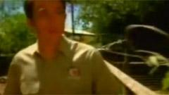 少年成熟记事簿