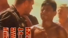 1993年 <战龙在野> 电影广告