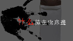 Nico - 阴阳先生(RaJor X 西瓜Kune)