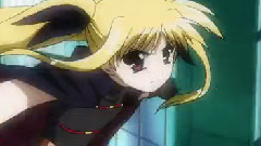 SHOW FIGHT!(人生即战争)