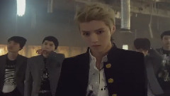 Wolf 预告 饭制版