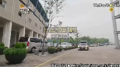 偶像明星运动会