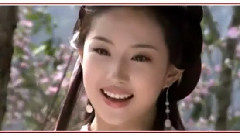 如花似玉-刘亦菲群像