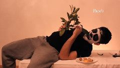 How Animals Eat Their Food