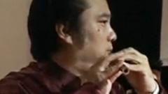 李增光 - 枣园春色