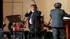 李增光 - 敦煌印象