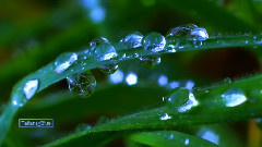 Giovanni Marradi - Garden Of Dreams