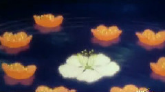 影视原声 - 芦笛舞曲