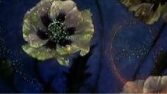 影视原声 - 胡桃夹子组曲