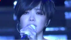 张惠妹 - 认真 & 最爱的人伤我最深