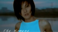 谢谢你,给我们的十一年