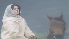 中岛美雪 - 黄砂に吹かれて