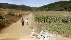 影视原声 - 电视剧