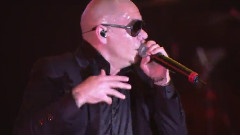 Pitbull - Shut It Down