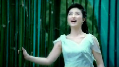 刘媛媛 - 中华是我家