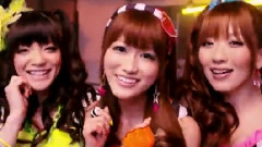 淡路岛のタマネギ