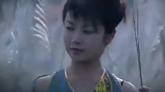 月光下的凤尾竹