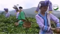 李春华 - 布朗情歌 葫芦丝独奏