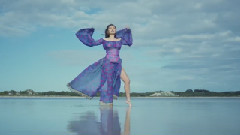 Willow Beats - Merewif