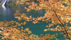 Willamette National Forest